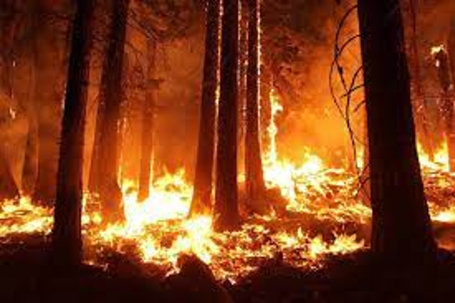  revoca della massima pericolosità incendi boschivi 