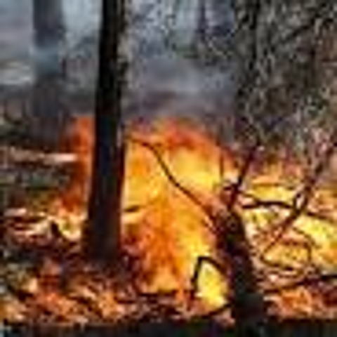 dichiarazione stato di massima pericolosità per gli incendi boschivi