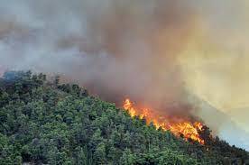 Revoca dello stato di massima pericolosità per gli incendi boschivi